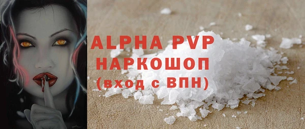 ГАЛЛЮЦИНОГЕННЫЕ ГРИБЫ Корсаков