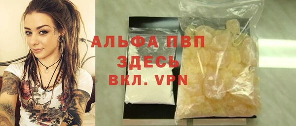 ГАЛЛЮЦИНОГЕННЫЕ ГРИБЫ Корсаков