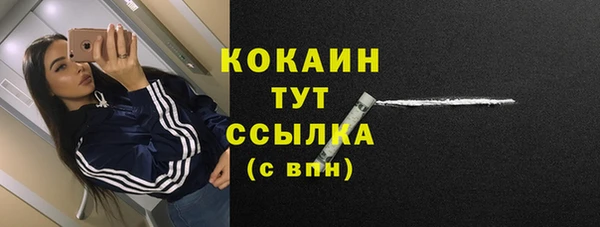 ГАЛЛЮЦИНОГЕННЫЕ ГРИБЫ Корсаков