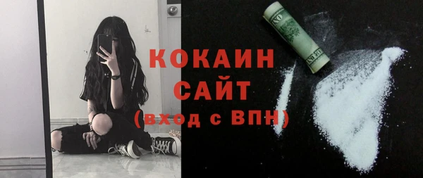 ГАЛЛЮЦИНОГЕННЫЕ ГРИБЫ Корсаков