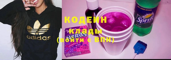 ГАЛЛЮЦИНОГЕННЫЕ ГРИБЫ Корсаков