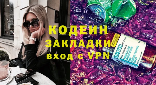 ГАЛЛЮЦИНОГЕННЫЕ ГРИБЫ Корсаков