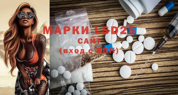 ГАЛЛЮЦИНОГЕННЫЕ ГРИБЫ Корсаков